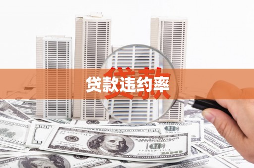 从江贷款违约率