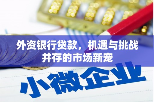 从江外资银行贷款，机遇与挑战并存的市场新宠