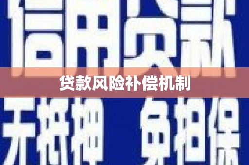 从江贷款风险补偿机制