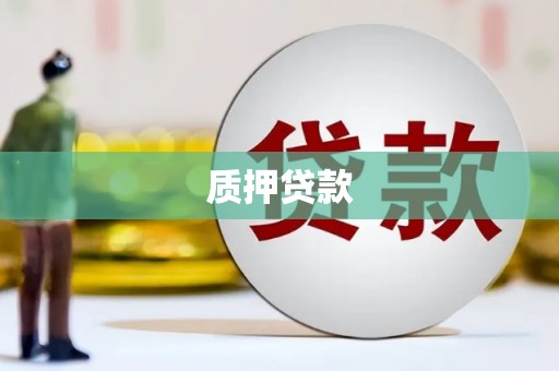 从江质押贷款