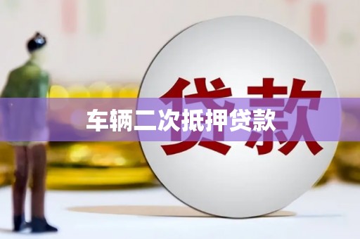 从江车辆二次抵押贷款
