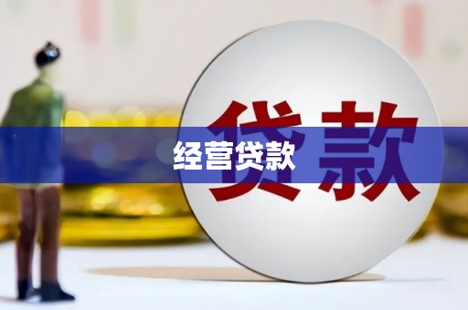从江经营贷款
