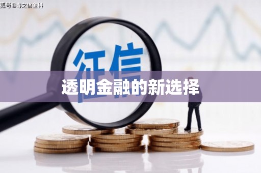 从江透明金融的新选择
