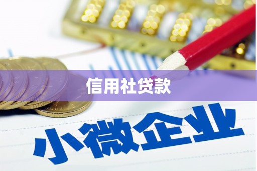 从江信用社贷款