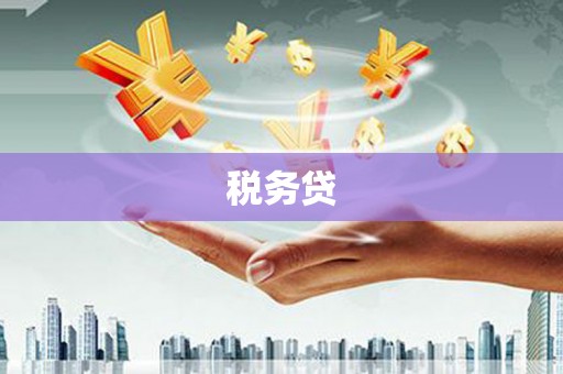 从江税务贷