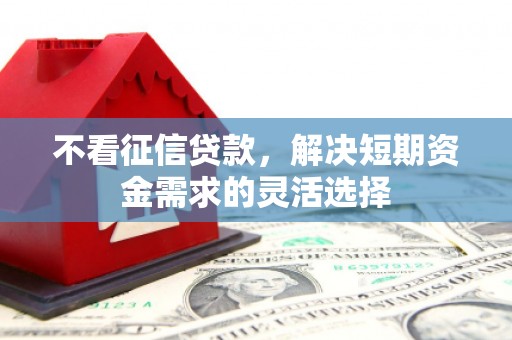 从江不看征信贷款，解决短期资金需求的灵活选择