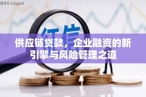 从江供应链贷款，企业融资的新引擎与风险管理之道