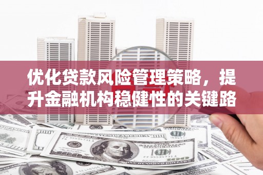 从江优化贷款风险管理策略，提升金融机构稳健性的关键路径