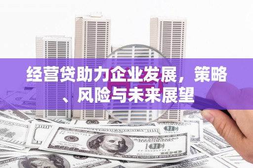 从江经营贷助力企业发展，策略、风险与未来展望