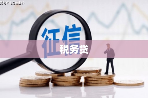 从江税务贷