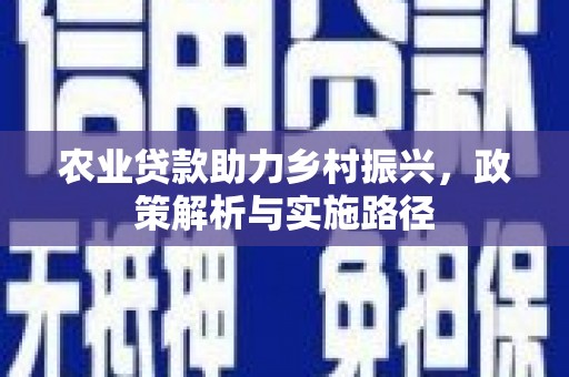 从江农业贷款助力乡村振兴，政策解析与实施路径