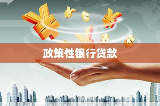 从江政策性银行贷款