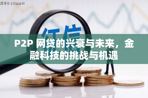 从江P2P 网贷的兴衰与未来，金融科技的挑战与机遇