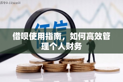 从江借呗使用指南，如何高效管理个人财务