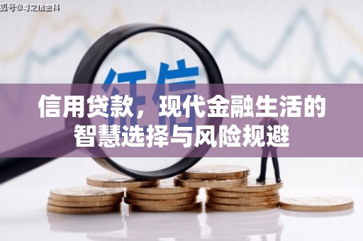 从江信用贷款，现代金融生活的智慧选择与风险规避