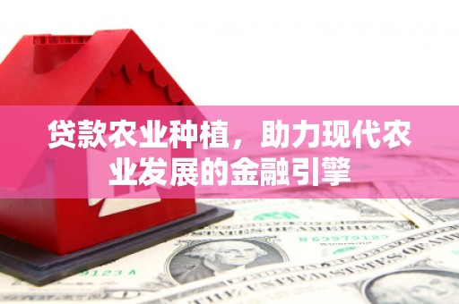 从江贷款农业种植，助力现代农业发展的金融引擎