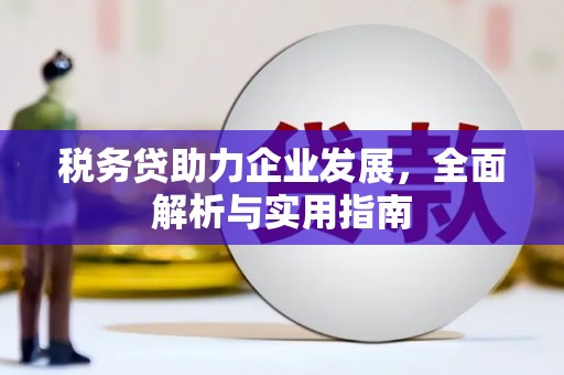 从江税务贷助力企业发展，全面解析与实用指南