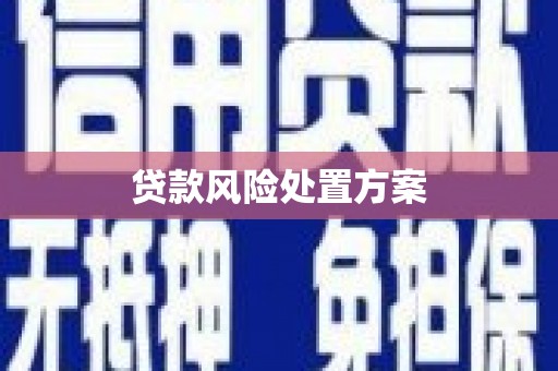 从江贷款风险处置方案