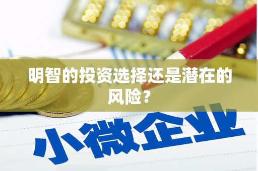 从江明智的投资选择还是潜在的风险？