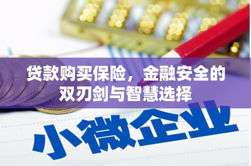 从江贷款购买保险，金融安全的双刃剑与智慧选择