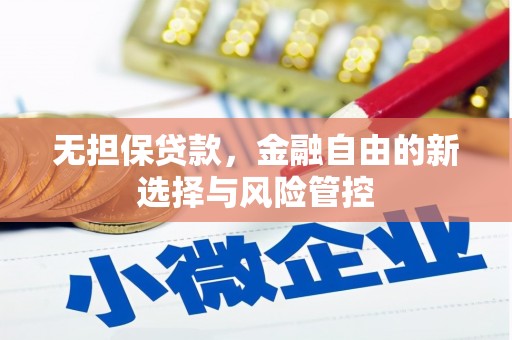 从江无担保贷款，金融自由的新选择与风险管控