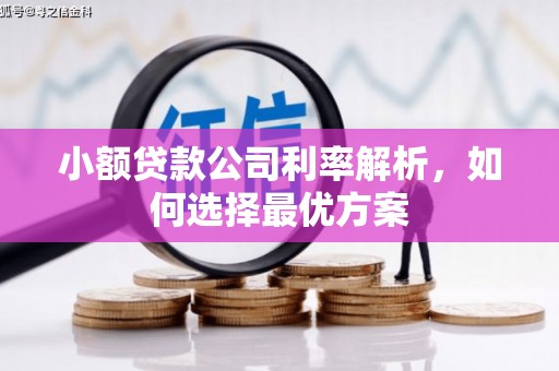 从江小额贷款公司利率解析，如何选择最优方案