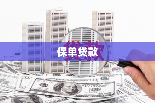 从江保单贷款