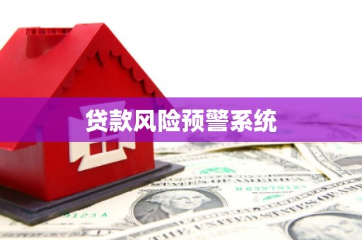 从江贷款风险预警系统