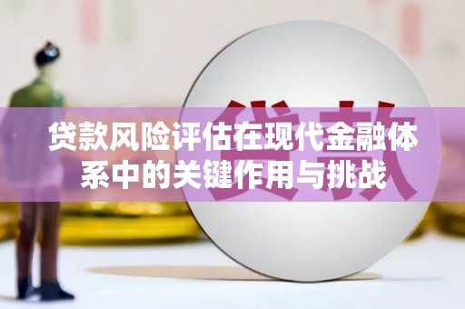 从江贷款风险评估在现代金融体系中的关键作用与挑战