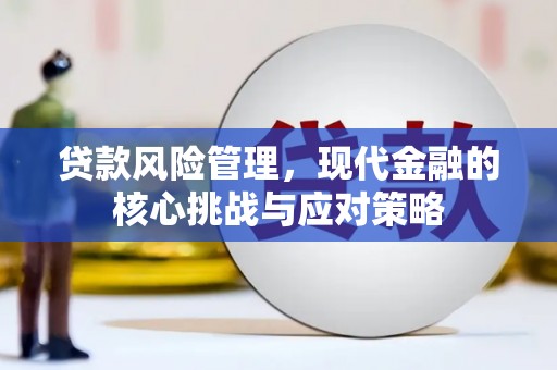 从江贷款风险管理，现代金融的核心挑战与应对策略