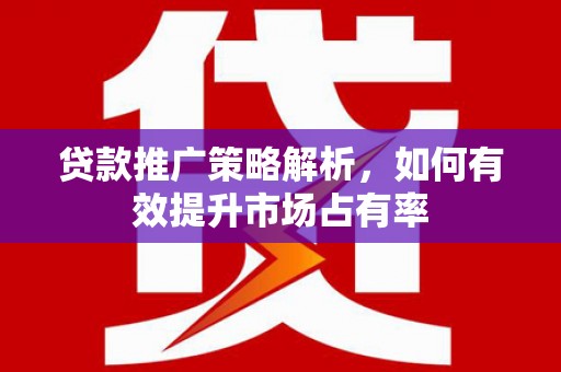 从江贷款推广策略解析，如何有效提升市场占有率