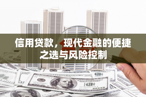 从江信用贷款，现代金融的便捷之选与风险控制