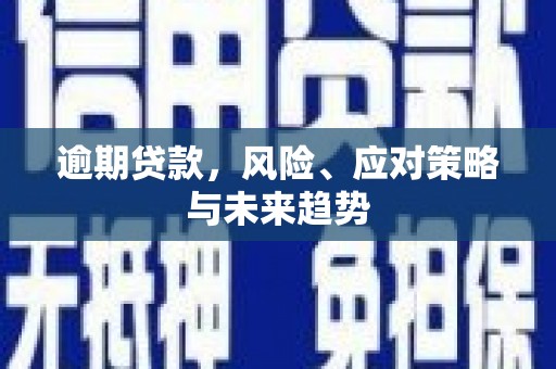 从江逾期贷款，风险、应对策略与未来趋势