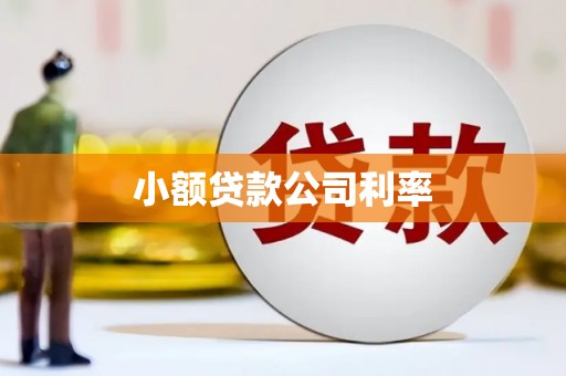 从江小额贷款公司利率