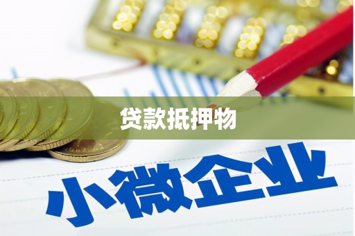 从江贷款抵押物
