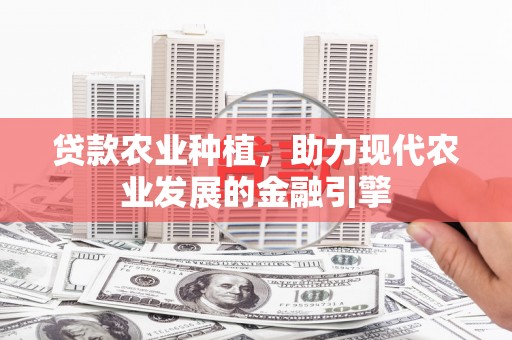 从江贷款农业种植，助力现代农业发展的金融引擎