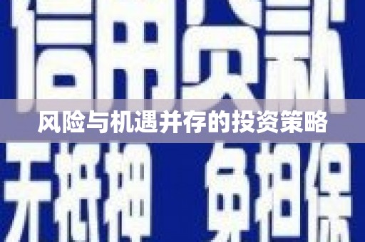 从江风险与机遇并存的投资策略