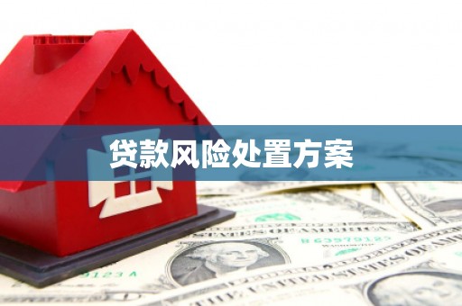 从江贷款风险处置方案