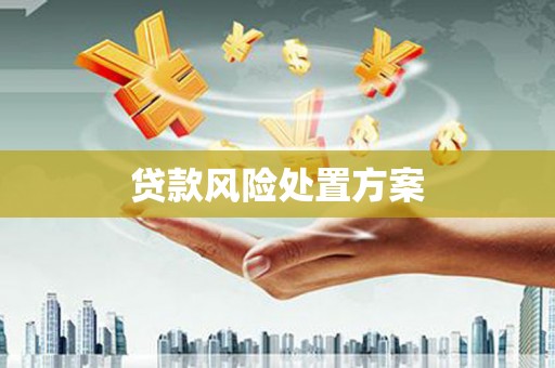 从江贷款风险处置方案