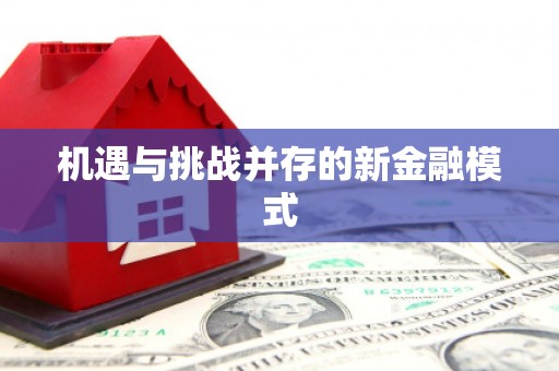 从江机遇与挑战并存的新金融模式