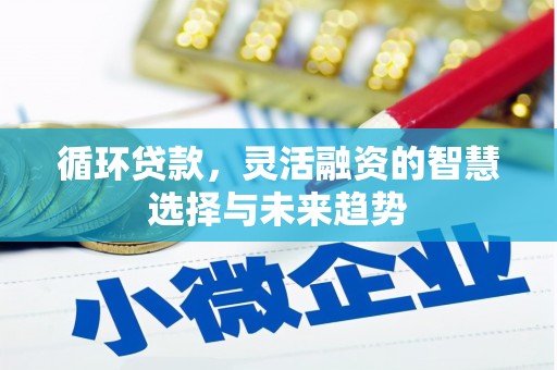 从江循环贷款，灵活融资的智慧选择与未来趋势
