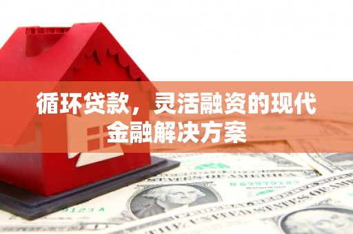 从江循环贷款，灵活融资的现代金融解决方案