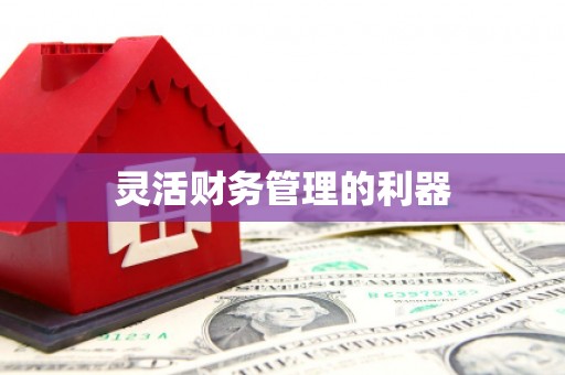 从江灵活财务管理的利器