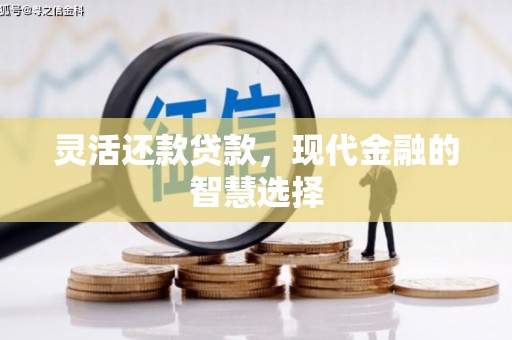 从江灵活还款贷款，现代金融的智慧选择