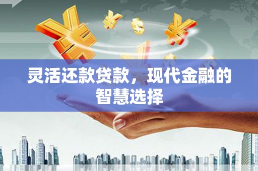 从江灵活还款贷款，现代金融的智慧选择