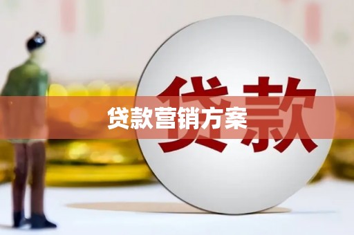 从江贷款营销方案