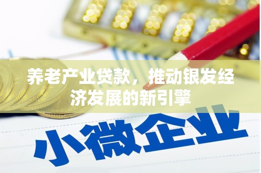 从江养老产业贷款，推动银发经济发展的新引擎
