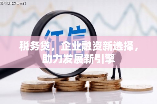 从江税务贷，企业融资新选择，助力发展新引擎
