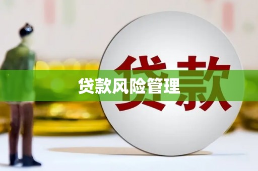 从江贷款风险管理