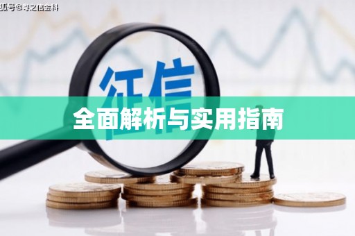 从江全面解析与实用指南